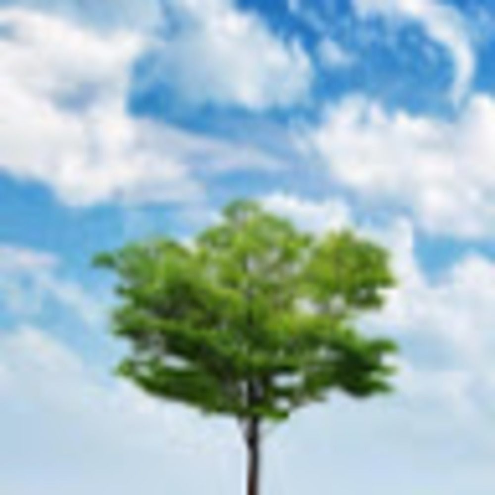 Meet your Posher, Kishleen